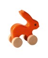 Lapin orange